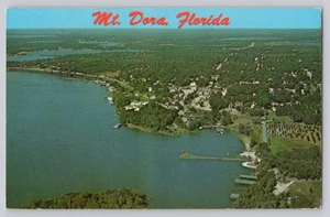 Postal de Florida con matasellos Mount Dora FL vista aérea escena del lago y la ciudad 1977 - Imagen 1 de 2