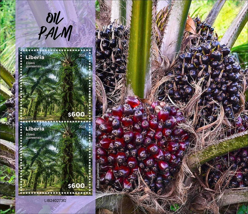Oil Palms MNH Stamps 2024 Liberia M/S - Image 1 of 1