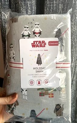 Pottery Barn Christmas Disney Star Wars Solo PILLOW SHAM holiday gift space boy - Image 1 of 4