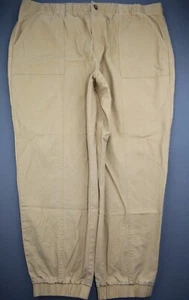 Women 2021 Style & Co High Rise Canvas Jogger Pants Stretch Brown Sz XXL (40x26) - Picture 1 of 8