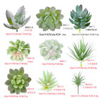 12pcs/pack Mixed Artificial Succulents Fake Plants Home Indoor Garden Decoration