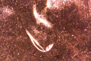 2024 D Denver Lincoln Shield Cent (BU) Brilliant Uncirculated - Doubled Ear *01 - Picture 1 of 9