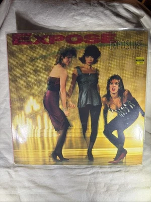 Exposé / Exposure. Vinyl LP AL-8441 1987 HTF 80’s Dance Pop Gold Stamp Promo Foto 1 de 3