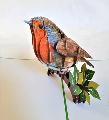 BC WORLDWIDE LTD Handmade 3D Pop Up Card Robin Birthday Anniversary Xmas Good Luck Mother's Gift