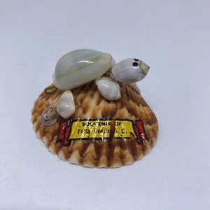 Vintage Folly Beach S. C. Souvenir Shell - Picture 1 of 4