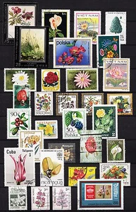 101400/ Blumen und Pflanzen - schönes Lot - o - nichts gerechnet - siehe scan - Picture 1 of 1