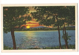 GORGEOUS SUNSET Or Sunrise Above BLUE Water through the Trees Vintage Postcard - Picture 1 of 2