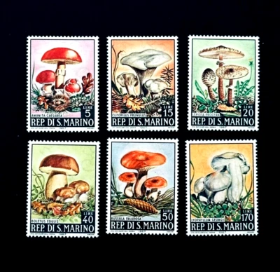SAN MARINO Stamp Lot - 1967 Mushroom Species Series Mint OG LH  r68🔥 - Image 1 of 2