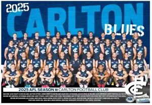 2025 CARLTON BLUES AFL FOOTBALL TEAM POSTER,FREE POST, BARGAIN,1 - Picture 1 of 1