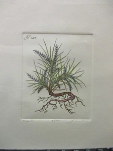 Mitra, Dan - "Traganth" - Bild 1 von 5