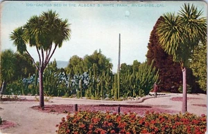 Cactus Bed Albert S. White Park Riverside California Postcard Unposted - Picture 1 of 2