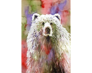 Colorful watercolor painting grizzly bear art print wall decor animal (print) - Picture 1 of 12