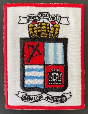 Argentina Army Batallon Antiaereo Patch Hook & Iron-On Repro New A1169 - Image 1 of 2