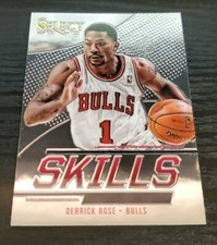 2013-14 Select Skills Derrick Rose #19