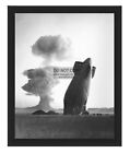 GOODYEAR BLIMP CRASHES AFTER NUCLEAR BOMB TEST 1957 8X10 FRAMED PHOTO