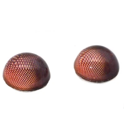 Par de ojos de vidrio de media esfera de insecto rojo cúpula alta para arte de joyería de taxidermia Foto 1 de 4