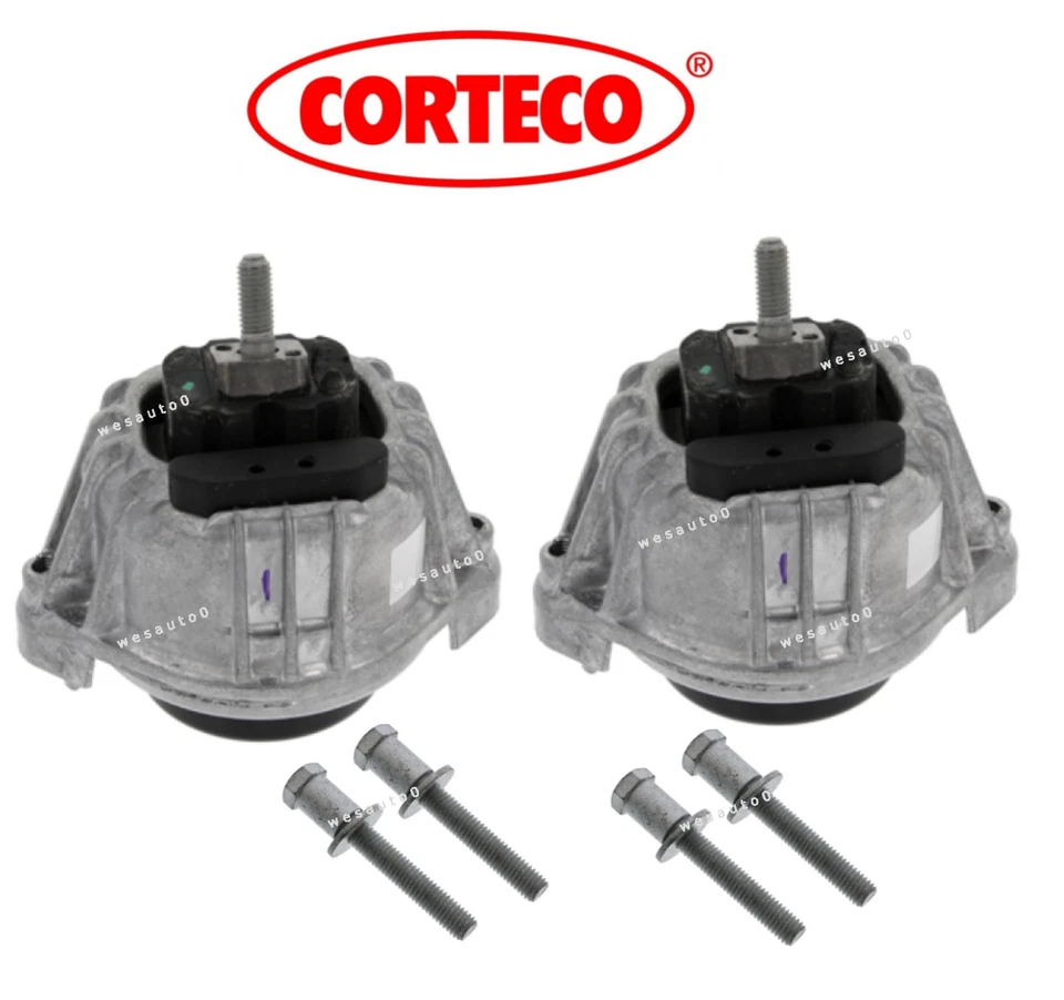 Para BMW X1 xDrive28i OEM Motor Montaje con Pernos Kit Lt/Rt Foto 1 de 1