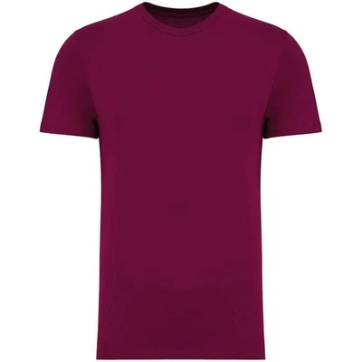 Native Spirit  Camiseta para Adultos Unisex (PC5314) UTPC5314_222 - Imagen 1 de 3