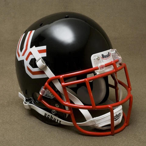 CINCINNATI BEARCATS NCAA Schutt XP Full Size REPLICA Gameday Football Helmet Cover