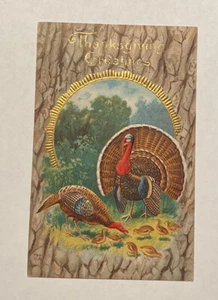 Vintage Embossed Postcard! Thanksgiving Greetings! Unused! a01764 - Picture 1 of 2
