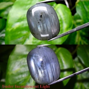 Big! 38.80ct Cushion Cabochon Natural Rainbow With Luster Labradorite Gemstone - Picture 1 of 6