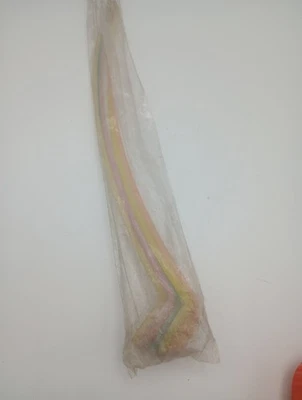 6 cucharas de postre de té helado vintage 1954 Tupperware #165 color pastel 12" de largo Foto 1 de 4