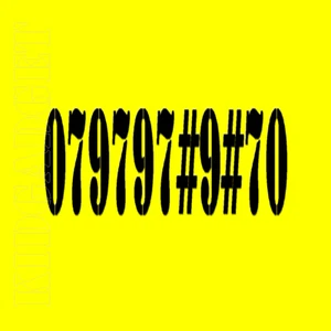 Vodafone 7979797 VIP EASY BUSINESS MOBILE PHONE NUMBER SIM CARD - Photo 1/1