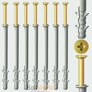 M10 x 120mm MASONRY NYLON FRAME FIXING NYLON PLUG & SCREWS VARIOUS LENGTHS - Picture 1 of 2