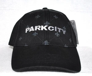 *PARK CITY* Fleur de Lis Pattern Ski Snowboard Structured Ball cap hat *OURAY* - Picture 1 of 3