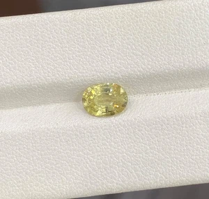 1.25 ct Best Grade Luster / Natural Unheated Yellow Sapphire - 8x6 Oval Video !! - Picture 1 of 3