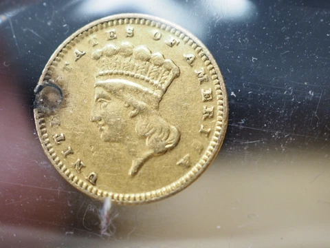 type 3  $1 Gold Dollar Princess Love Token Nice Jewelry Cover