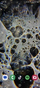 TIKTOK INSTALLED 2024 256GB Verizon Samsung 24S Ultra - Like 20% To LAFD  - Picture 1 of 4