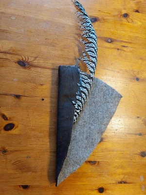 Mütze Hut mit Feder ,  Kostüm  , Filz  , Mittelalter - Bild 1 von 2