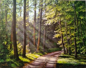 Orig Gemälde "Sonniger Wald"  ,Öl ,Acryl, Leinw ,Seifried - Bild 1 von 1