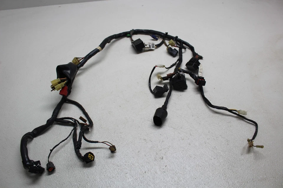 2001-2005 Yamaha Fz1 Fzs1000 жгут проводов главного двигателя жгут проводов мотора ткацкий станок - Изображение 1 из 4