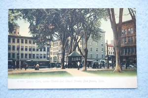 Olmos señoriales - Calles de iglesia y capilla de esquina - New Haven, Connecticut - Imagen 1 de 2