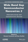 Vincent Consonni Wide Band Gap Semiconductor Nanowires 2 (Hardback) (US IMPORT)