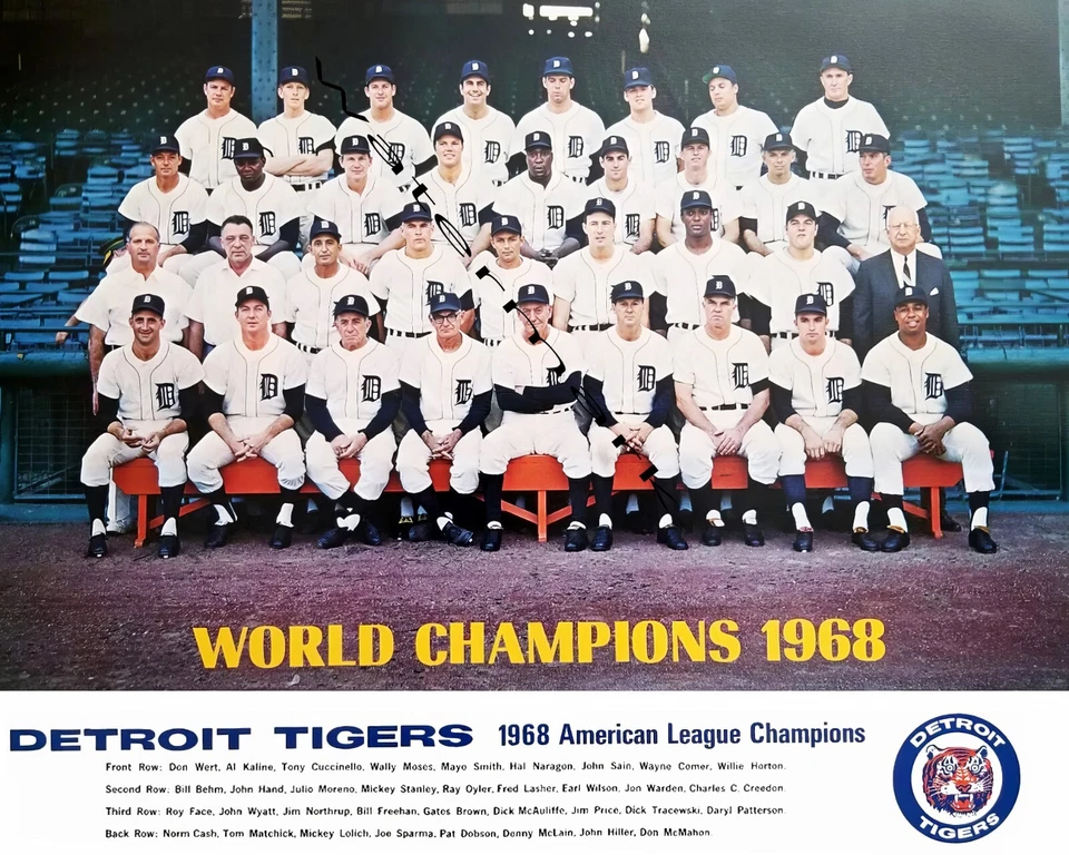 Detroit Tigers 1968 MLB Champions, foto a color 8x10 Foto 1 de 1