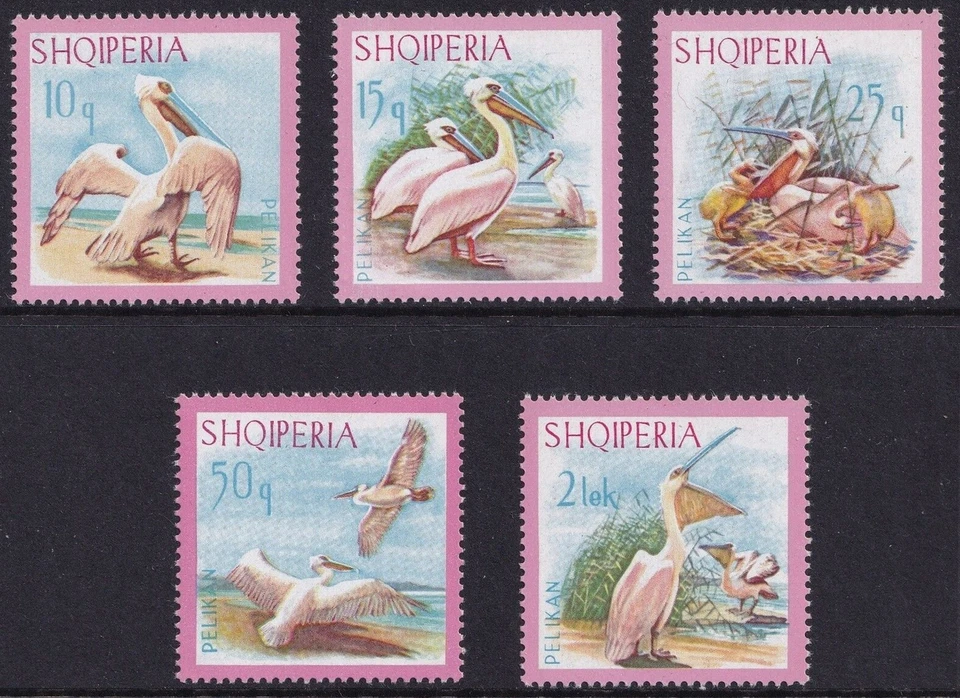 Albania 1967 ☀ WWF - Birds - Dalmatian Pelican set ☀ Mint never hinged (**) - Image 1 of 1