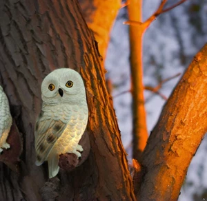 Owl Solar Light Garden Outdoor Hanging Statues Owl Tree Hanging Solar Lights Out - Picture 1 of 12