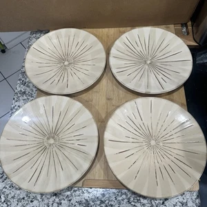 Set of 4 Pier 1 Imports Sanctuary dinner plates 11.5" near-perfect condition * - Picture 1 of 11