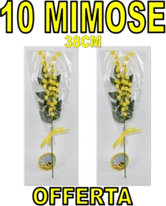 10 PZ RAMETTO MIMOSE FESTA DELLA DONNA MIMOSA idea regalo decorazioni 8 Marzo - Bild 1 von 2