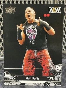 2023 Upper Deck AEW Matt Hardy Boyz Wrestling Card #28 WWE AAA NXT TNA Broken - Picture 1 of 6