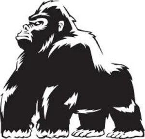 GORILLA VINILE DECALCOMANIA adesivo paraurti auto laptop ANIMALE, FAUNA SELVATICA, GIUNGLA - Foto 1 di 3