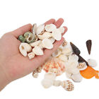 Tiny Natural Mixed Ocean Sea Shells Fish Tank Decoration And Beach Decoratio Zz1