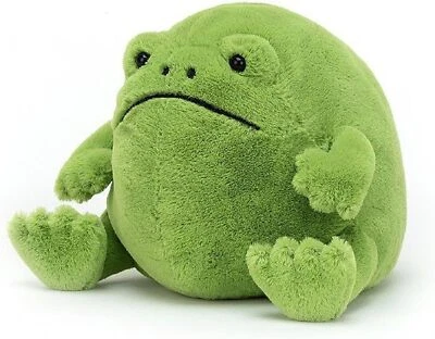 NEU Ricky Rain Frosch Plüschtier Grün Grumpy Frog Soft Doll Kinder Geschenk 2025 - Bild 1 von 4
