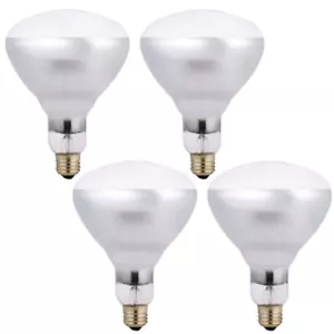 250 Watt Infrared Brooder Chicken Coop Hen Clear Heat Lamp R40 Medium E26 4 Pack - Picture 1 of 7