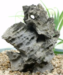 Viewing stone suiseki-scholar rock Ying stone Rough Decor Rockery bonsai J285 - Picture 1 of 6