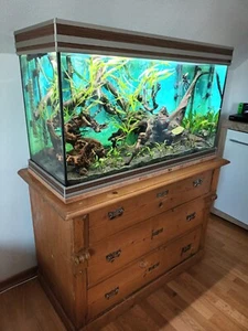 Aquarium komplett 240l - Aquatlantis Fusion 100 LED, EHEIM-Außenfilter 4+ - Bild 1 von 8