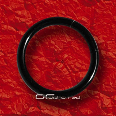 »»» TITAN SEGMENTRING PIERCING RING 5 Größen Nase Lippe Auge Ohr usw. 5327 - Bild 1 von 2